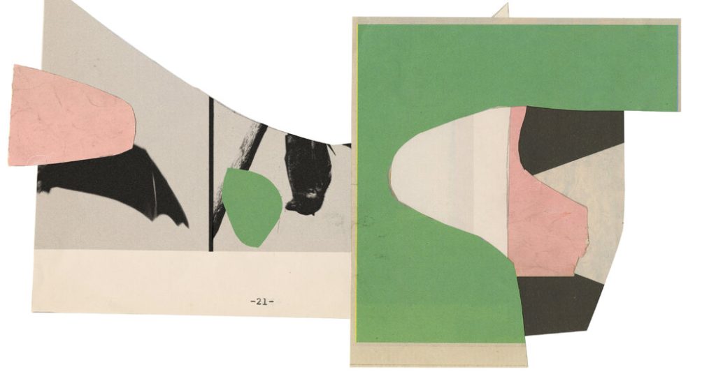 Questions for Bats and Rothko Weather
