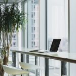 Junior Frontend Developer